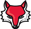 Red Foxs Image